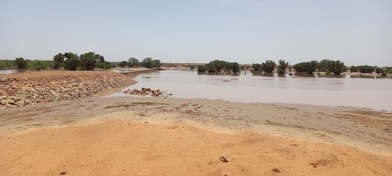 الصورة لموقع كنكوصه انفو