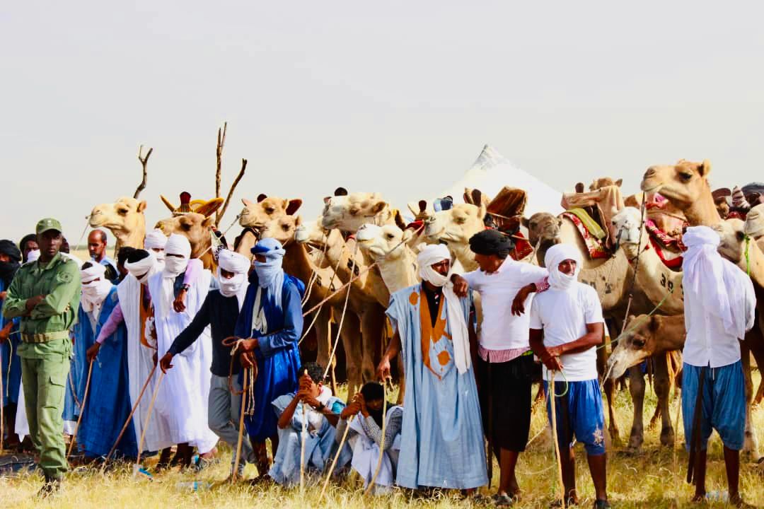 الصورة من النسخة الماضية
