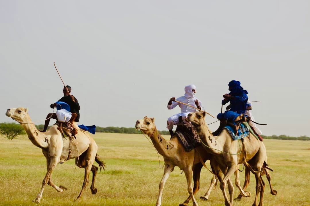 الصورة من النسخة الماضية
