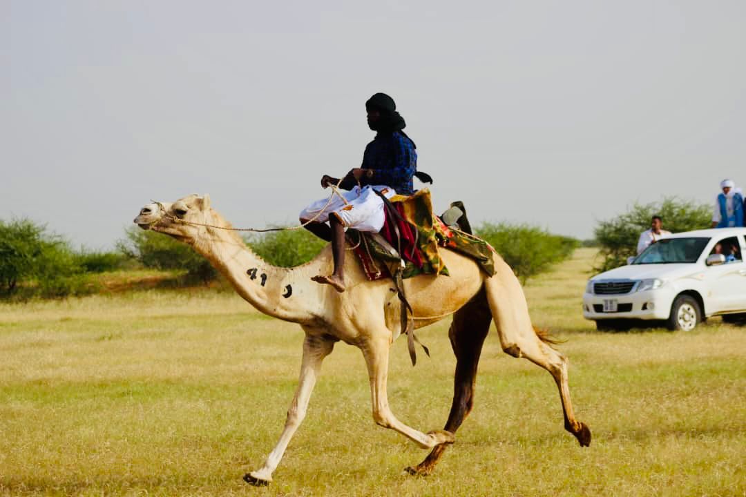 الصورة من النسخة الماضية